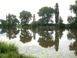 Labe 20 pod mostem v Litoli-12.7.09 (2).JPG